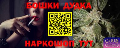 прущие грибы Уссурийск