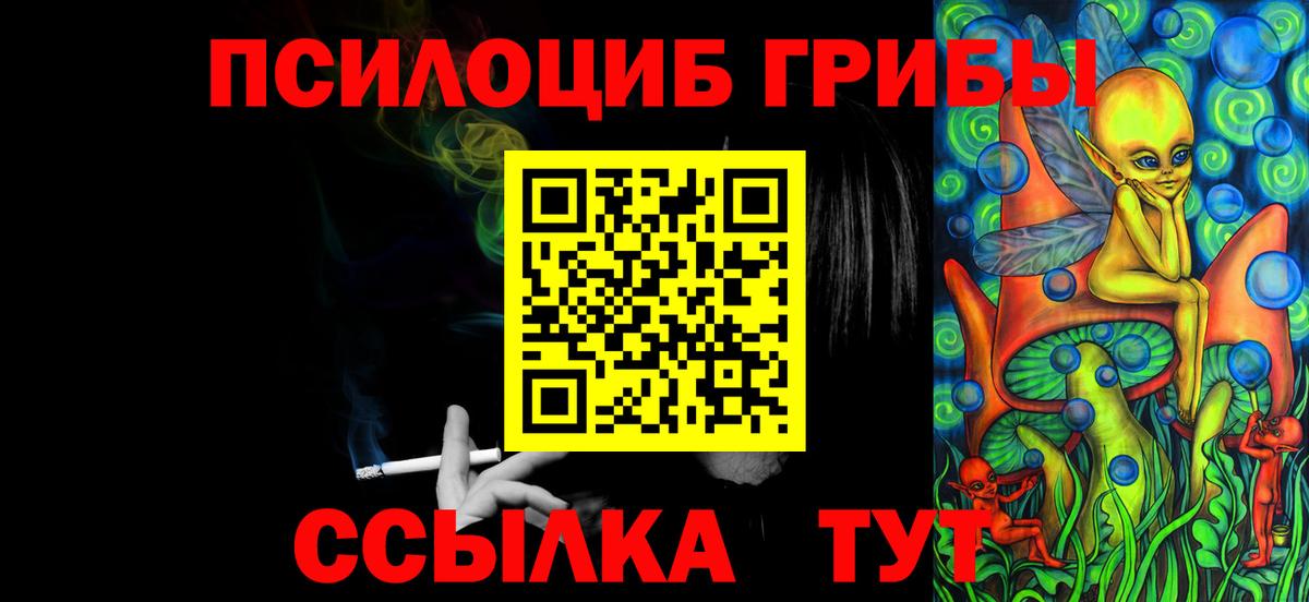 Норильск  Псилоцибиновые грибы GOLDEN TEACHER  продажа наркотиков  Вход с VPN 