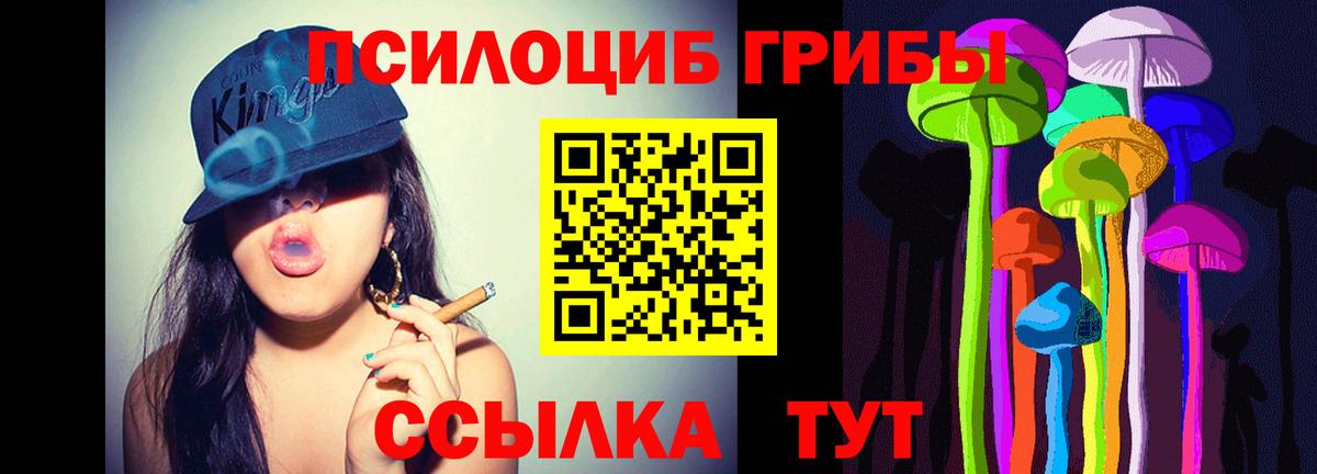 Галлюциногенные грибы Psilocybe Норильск